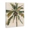 Stupell Industries Palm Tree on Beige Canvas Wall Art Design by Ethan Harper